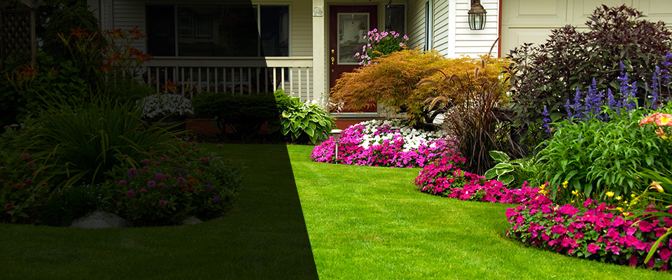 Warner Robins Landscapers