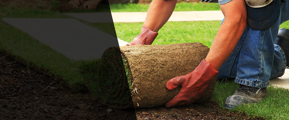 Warner Robins Landscapers